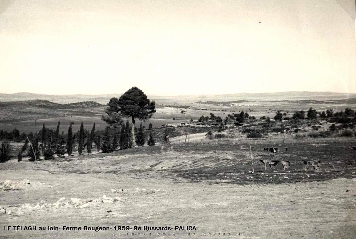 Palica - Le Telagh 019.JPG